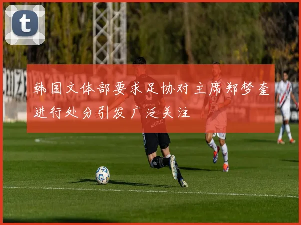韩国文体部要求足协对主席郑梦奎进行处分引发广泛关注
