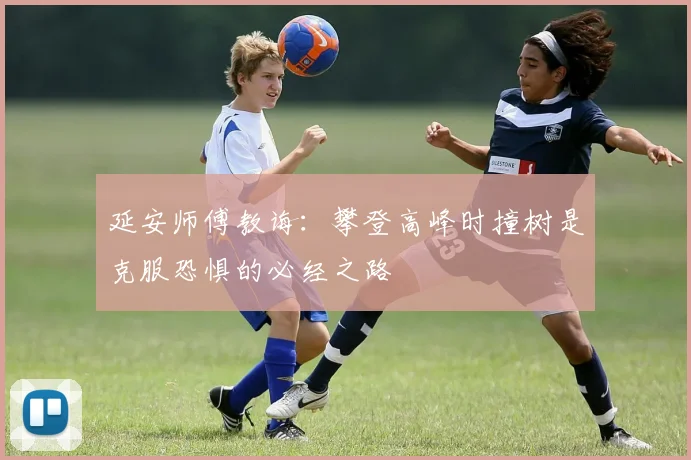 延安师傅教诲：攀登高峰时撞树是克服恐惧的必经之路